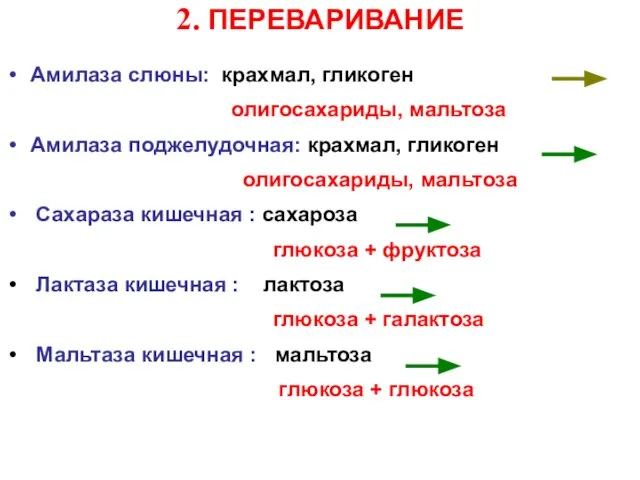 2. ПЕРЕВАРИВАНИЕ Амилаза слюны: крахмал, гликоген олигосахариды, мальтоза Амилаза поджелудочная: крахмал,