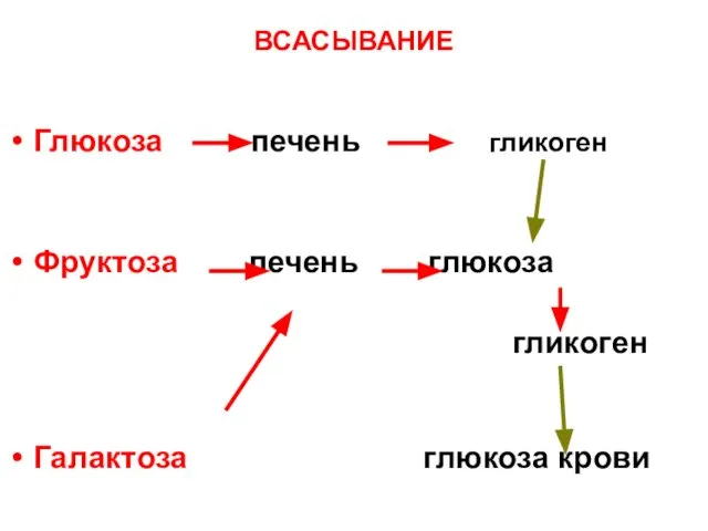 ВСАСЫВАНИЕ Глюкоза печень Фруктоза печень глюкоза гликоген Галактоза глюкоза крови гликоген