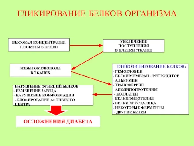 ГЛИКИРОВАНИЕ БЕЛКОВ ОРГАНИЗМА ВЫСОКАЯ КОНЦЕНТРАЦИЯ ГЛЮКОЗЫ В КРОВИ УВЕЛИЧЕНИЕ ПОСТУПЛЕНИЯ В