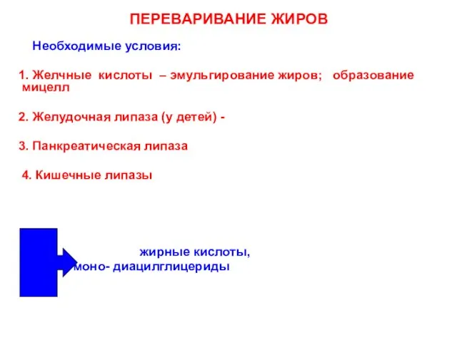 ПЕРЕВАРИВАНИЕ ЖИРОВ Необходимые условия: 1. Желчные кислоты – эмульгирование жиров; образование