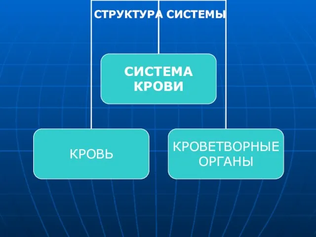 СТРУКТУРА СИСТЕМЫ