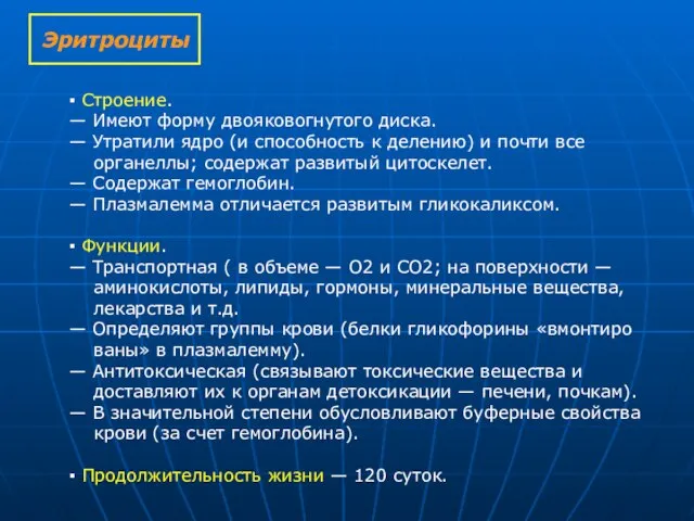 Эритроциты ▪ Строение. — Имеют форму двояковогнутого диска. — Утратили ядро