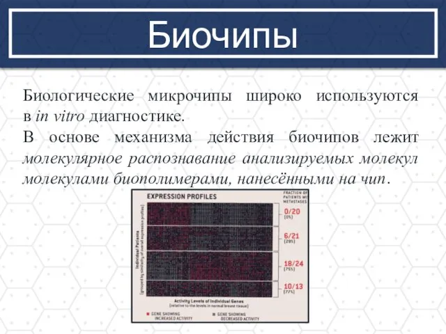 Биочипы Биологические микрочипы широко используются в in vitro диагностике. В основе