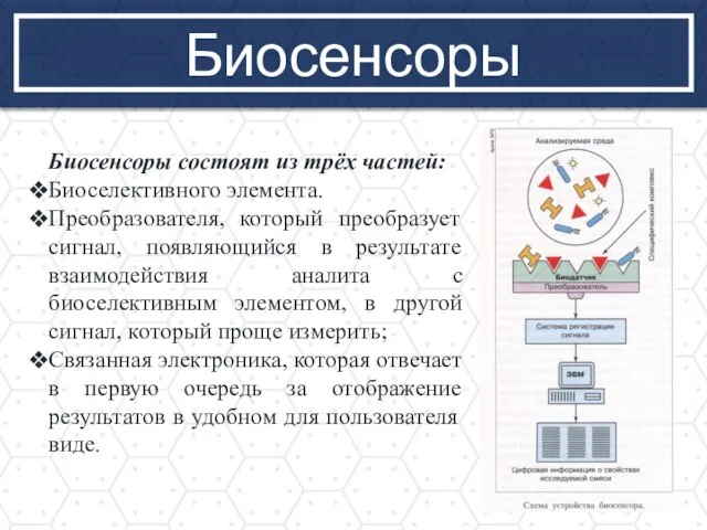 Биосенсоры Биосенсоры состоят из трёх частей: Биоселективного элемента. Преобразователя, который преобразует