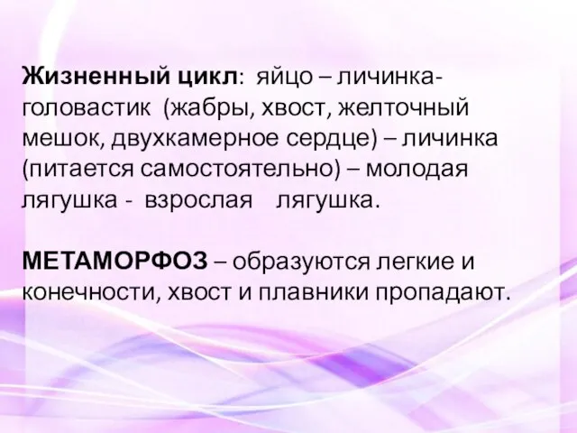 Жизненный цикл: яйцо – личинка-головастик (жабры, хвост, желточный мешок, двухкамерное сердце)