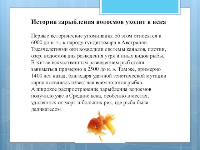 История зарыбления водоемов уходит в века Первые исторические упоминания об этом