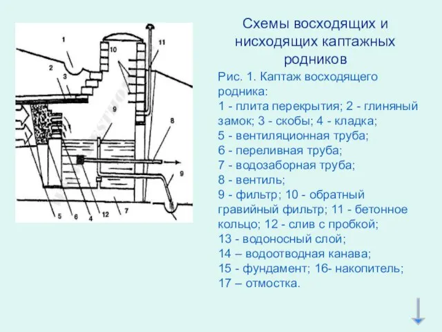 Схемы восходящих и нисходящих каптажных родников Рис. 1. Каптаж восходящего родника: