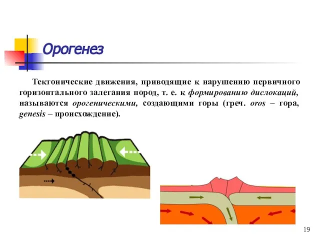 Орогенез Тектонические движения, приводящие к нарушению первичного горизонтального залегания пород, т.