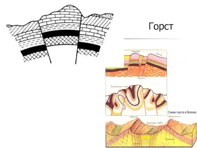 Горст