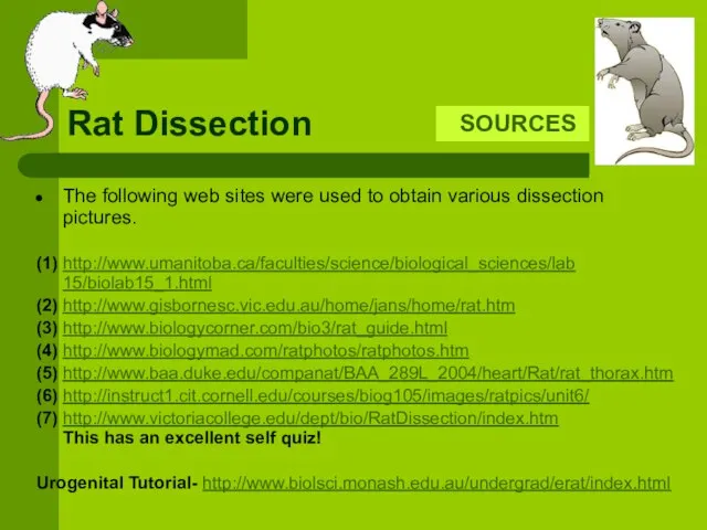 Rat Dissection The following web sites were used to obtain various