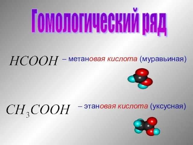 Гомологический ряд – метановая кислота (муравьиная) – этановая кислота (уксусная)