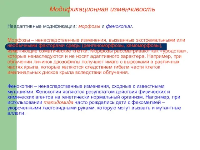 Модификационная изменчивость Неадаптивные модификации: морфозы и фенокопии. Морфозы – ненаследственные изменения,