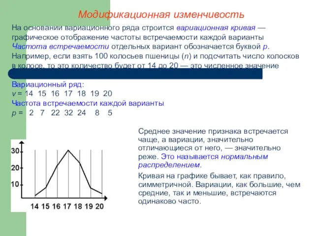 Модификационная изменчивость На основании вариационного ряда строится вариационная кривая — графическое