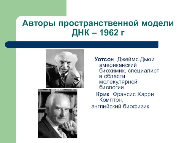 Авторы пространственной модели ДНК – 1962 г Уотсон Джеймс Дьюи американский