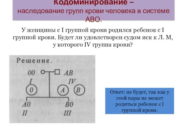 Кодоминирование – наследование групп крови человека в системе АВО. У женщины