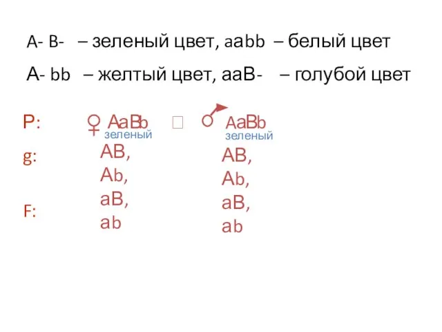 A В а b А В а b A- B- –