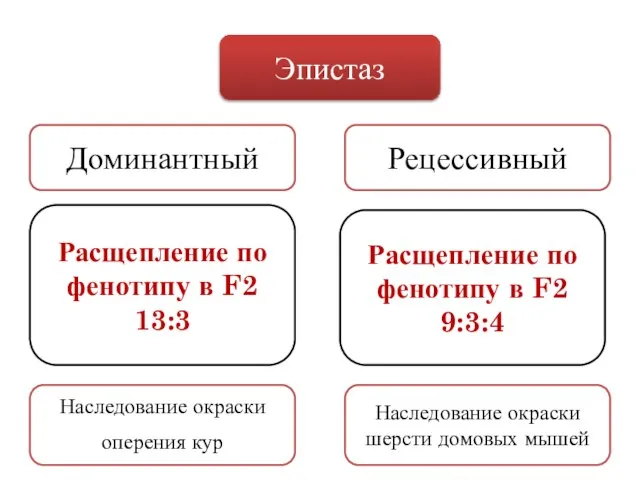 Эпистаз Доминантный Рецессивный Расщепление по фенотипу в F2 13:3 Расщепление по