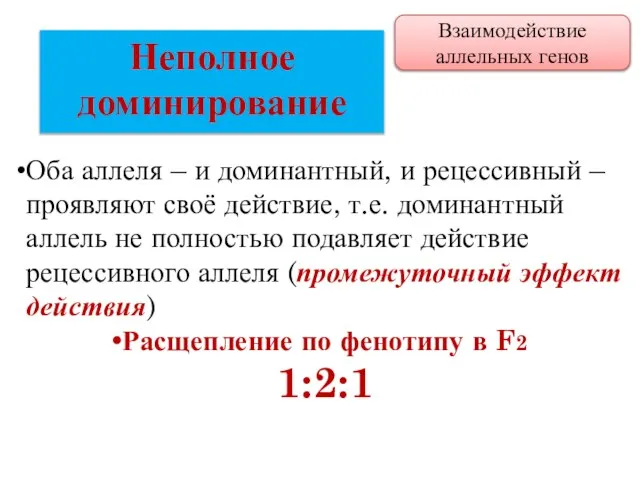 Оба аллеля – и доминантный, и рецессивный – проявляют своё действие,