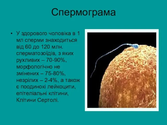 Спермограма У здорового чоловіка в 1 мл сперми знаходиться від 60