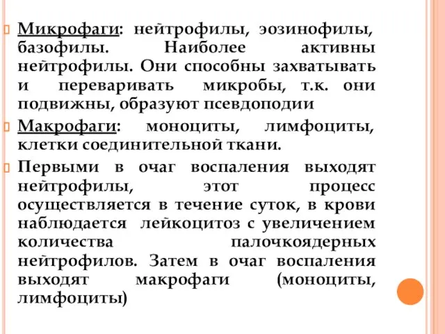 Микрофаги: нейтрофилы, эозинофилы, базофилы. Наиболее активны нейтрофилы. Они способны захватывать и