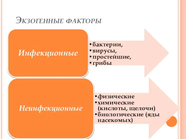 Экзогенные факторы Инфекционные бактерии, вирусы, простейшие, грибы Неинфекционные физические химические (кислоты, щелочи) биологические (яды насекомых)‏