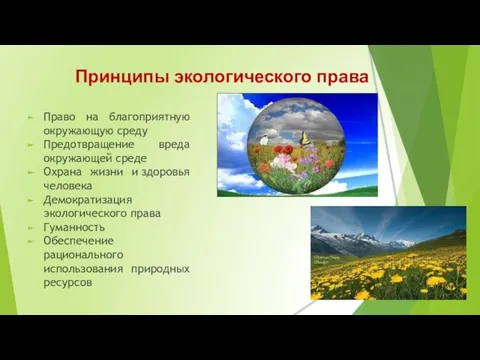 Принципы экологического права Право на благоприятную окружающую среду Предотвращение вреда окружающей