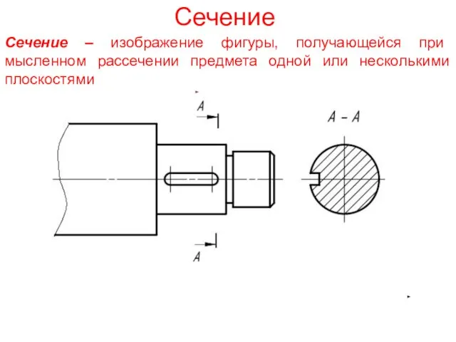 Сечение Сечение – изображение фигуры, получающейся при мысленном рассечении предмета одной или несколькими плоскостями