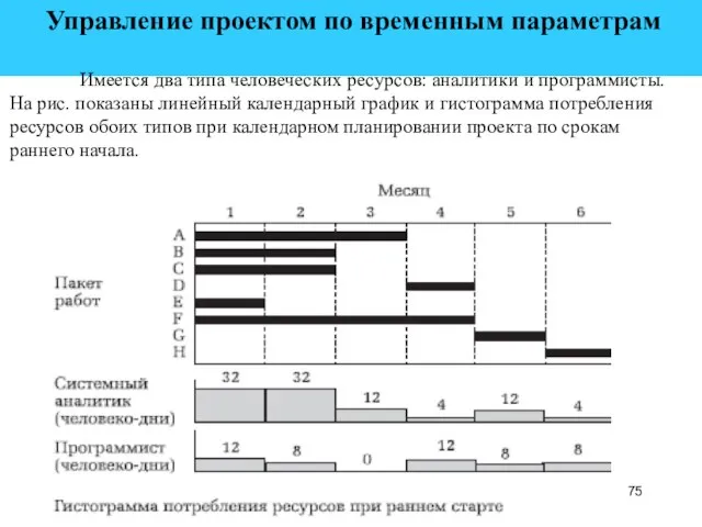 Управление проектом по временным параметрам Имеется два типа человеческих ресурсов: аналитики