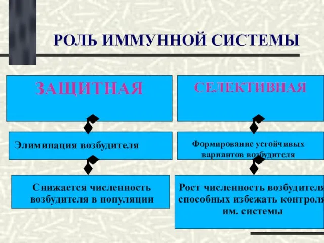 РОЛЬ ИММУННОЙ СИСТЕМЫ ЗАЩИТНАЯ Элиминация возбудителя СЕЛЕКТИВНАЯ Снижается численность возбудителя в