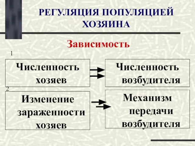 РЕГУЛЯЦИЯ ПОПУЛЯЦИЕЙ ХОЗЯИНА Зависимость Численность хозяев Численность возбудителя Изменение зараженности хозяев 1 2 Механизм передачи возбудителя