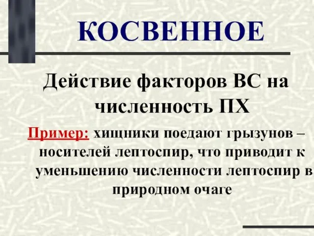 КОСВЕННОЕ Действие факторов ВС на численность ПХ Пример: хищники поедают грызунов