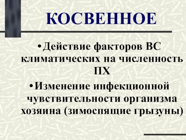 КОСВЕННОЕ Действие факторов ВС климатических на численность ПХ Изменение инфекционной чувствительности организма хозяина (зимоспящие грызуны)