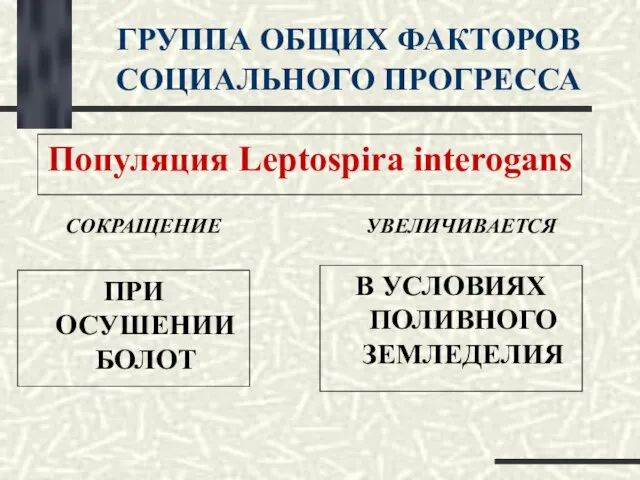 ГРУППА ОБЩИХ ФАКТОРОВ СОЦИАЛЬНОГО ПРОГРЕССА Популяция Leptospira interogans СОКРАЩЕНИЕ УВЕЛИЧИВАЕТСЯ ПРИ