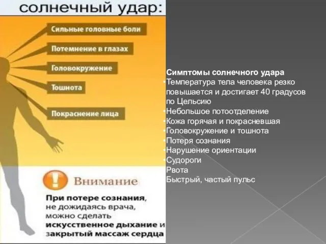 Симптомы солнечного удара Температура тела человека резко повышается и достигает 40