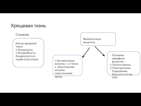 Хрящевая ткань. Строение. Клетки хрящевой ткани: 1.Хондроциты 2.Хондробласты Хондрокласты в норме