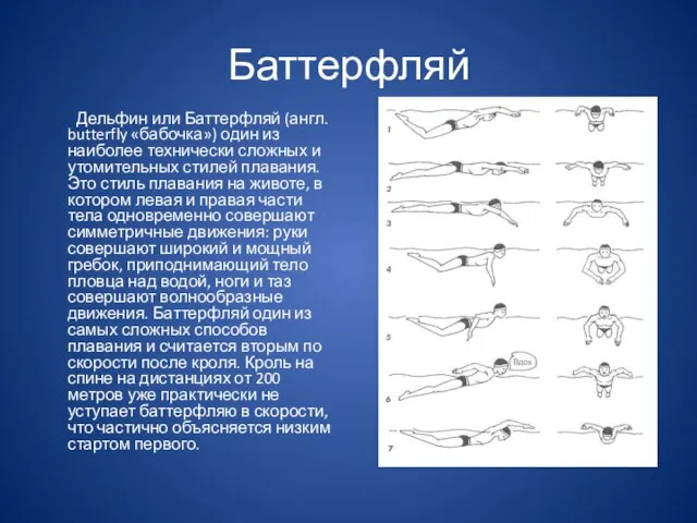 Баттерфляй Дельфин или Баттерфляй (англ. butterfly «бабочка») один из наиболее технически