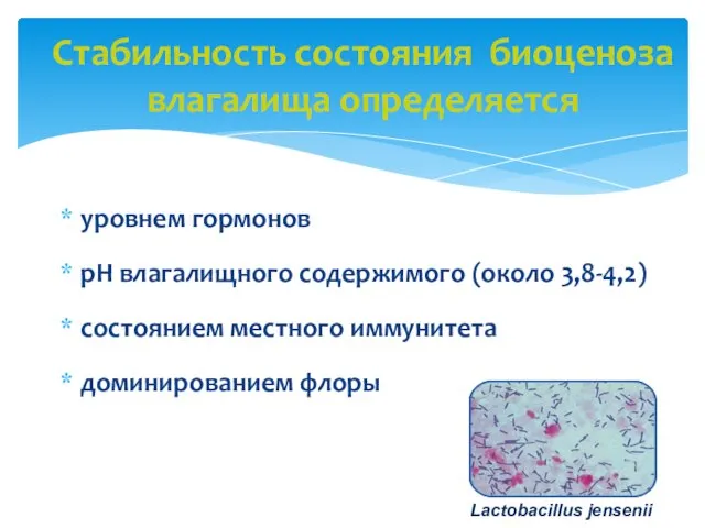 уровнем гормонов pH влагалищного содержимого (около 3,8-4,2) состоянием местного иммунитета доминированием