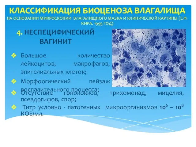 КЛАССИФИКАЦИЯ БИОЦЕНОЗА ВЛАГАЛИЩА НА ОСНОВАНИИ МИКРОСКОПИИ ВЛАГАЛИЩНОГО МАЗКА И КЛИНИЧЕСКОЙ КАРТИНЫ