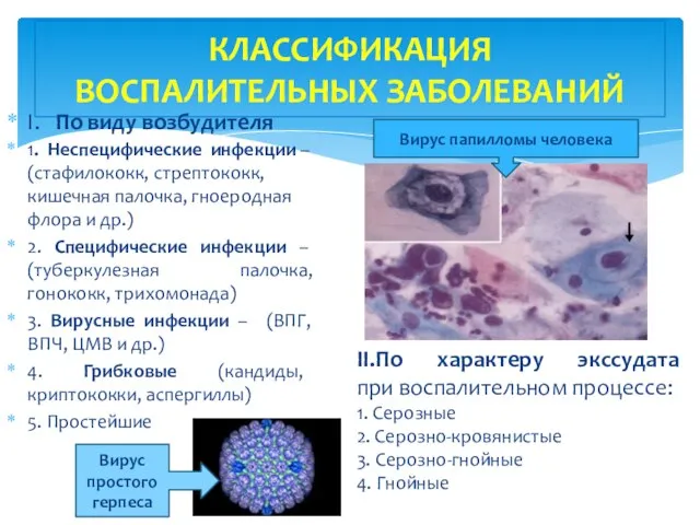 КЛАССИФИКАЦИЯ ВОСПАЛИТЕЛЬНЫХ ЗАБОЛЕВАНИЙ I. По виду возбудителя 1. Неспецифические инфекции –