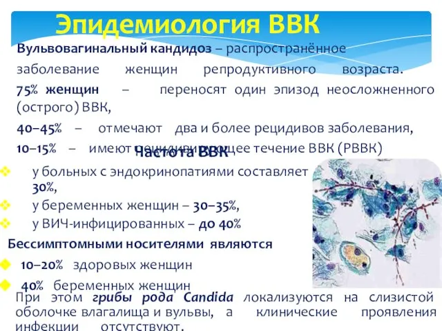 Эпидемиология ВВК Вульвовагинальный кандидоз – распространённое заболевание женщин репродуктивного возраста. 75%