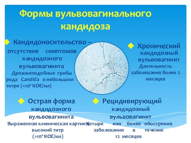 Формы вульвовагинального кандидоза отсутствие симптомов кандидозного вульвовагинита Дрожжеподобные грибы рода Candida