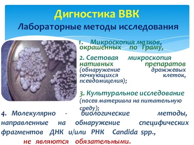 Дигностика ВВК Микроскопия мазков, окрашенных по Граму, 2. Cветовая микроскопия нативных