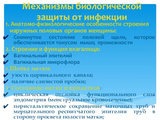 Механизмы биологической защиты от инфекции 1. Анатомо-физиологические особенности строения наружных половых