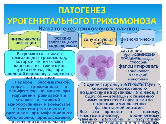 ПАТОГЕНЕЗ УРОГЕНИТАЛЬНОГО ТРИХОМОНОЗА На патогенез трихомоноза влияют: интенсивность инфекции реакция влагалищного