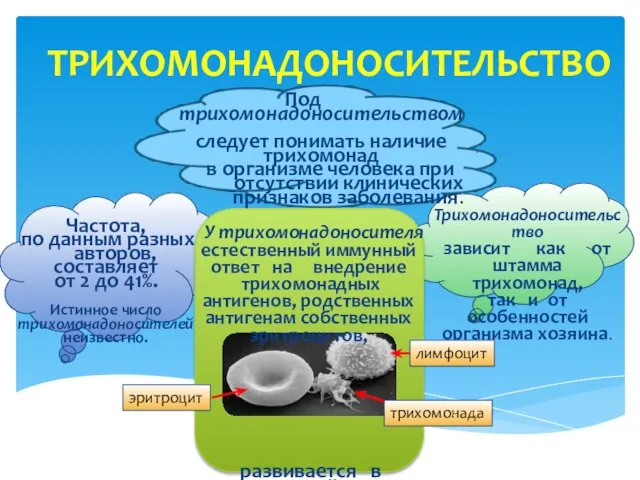 ТРИХОМОНАДОНОСИТЕЛЬСТВО . Под трихомонадоносительством следует понимать наличие трихомонад в организме человека