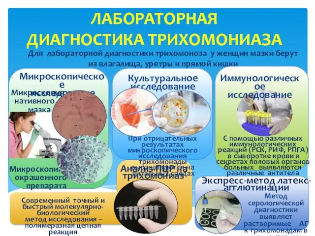 ЛАБОРАТОРНАЯ ДИАГНОСТИКА ТРИХОМОНИАЗА Для лабораторной диагностики трихомоноза у женщин мазки берут