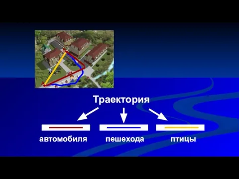 автомобиля Траектория пешехода птицы