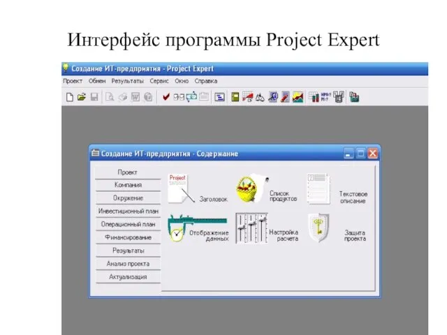 Интерфейс программы Project Expert