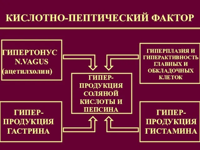 КИСЛОТНО-ПЕПТИЧЕСКИЙ ФАКТОР ГИПЕРТОНУС N.VAGUS (ацетилхолин) ГИПЕР- ПРОДУКЦИЯ ГАСТРИНА ГИПЕРПЛАЗИЯ И ГИПЕРАКТИВНОСТЬ