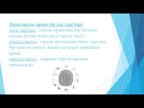 Попилярлы өрнектің үш түрі бар: доға тәріздес– саусақ өрнегінің бір бетінен